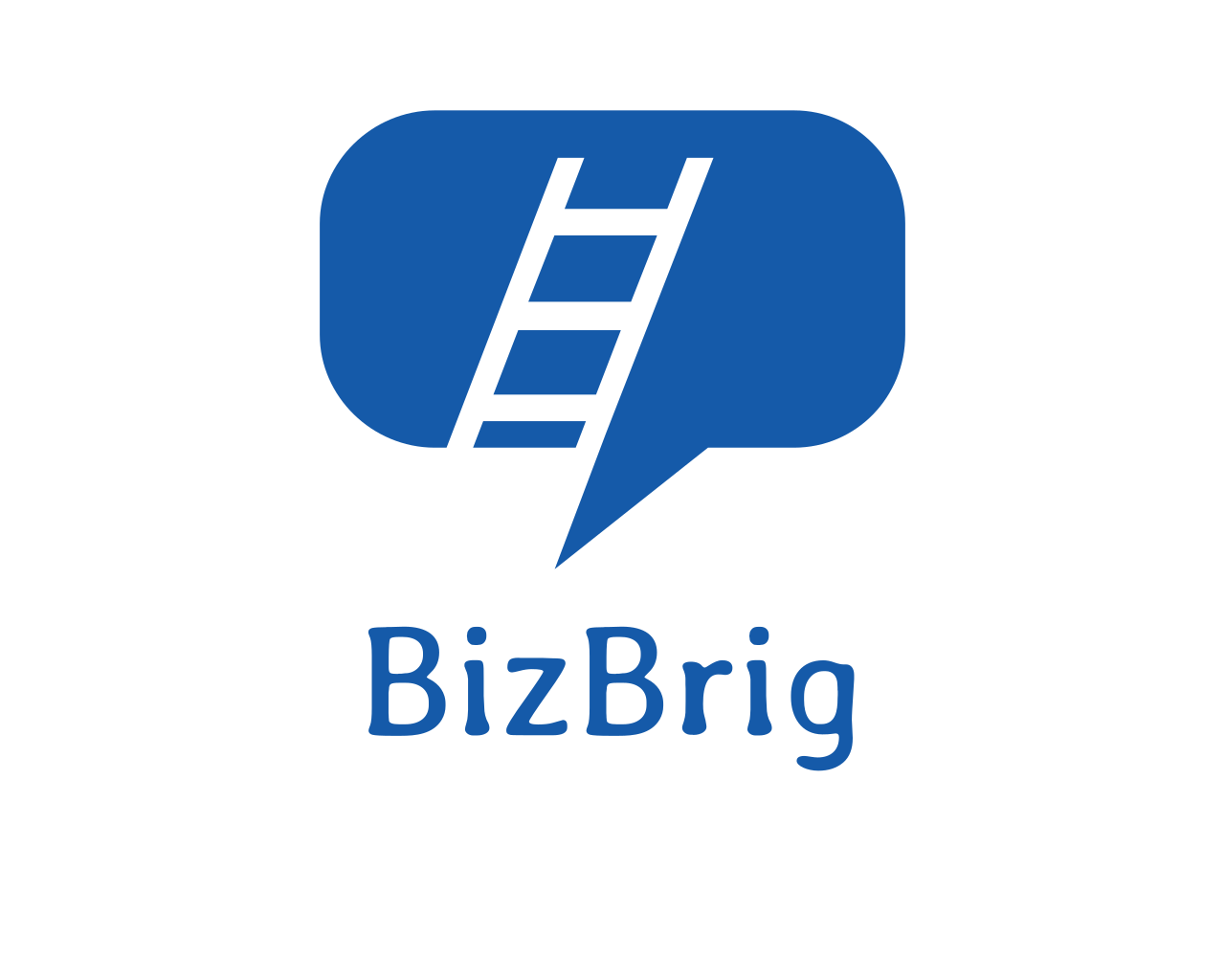 bizbrig.com